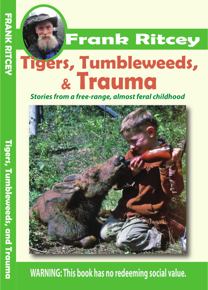 Picture of the author's book, Tigers, Tumbleweeds, and Trauma